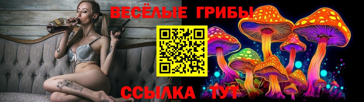 купить наркотики цена  Псилоцибиновые грибы Psilocybe  Вход с VPN  Кировск  Псилоцибиновые грибы Cubensis 